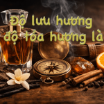 Độ lưu hương & độ tỏa hương là gì? Hiểu đúng để chọn nước hoa phù hợp nhất